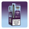 Blackcurrant Ice Big Puff Vape Kit