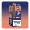 Blueberry Peach Ice Big Puff Vape Kit