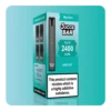 Menthol Big Puff Vape Kit