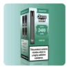 Spearmint Ice Big Puff Vape Kit
