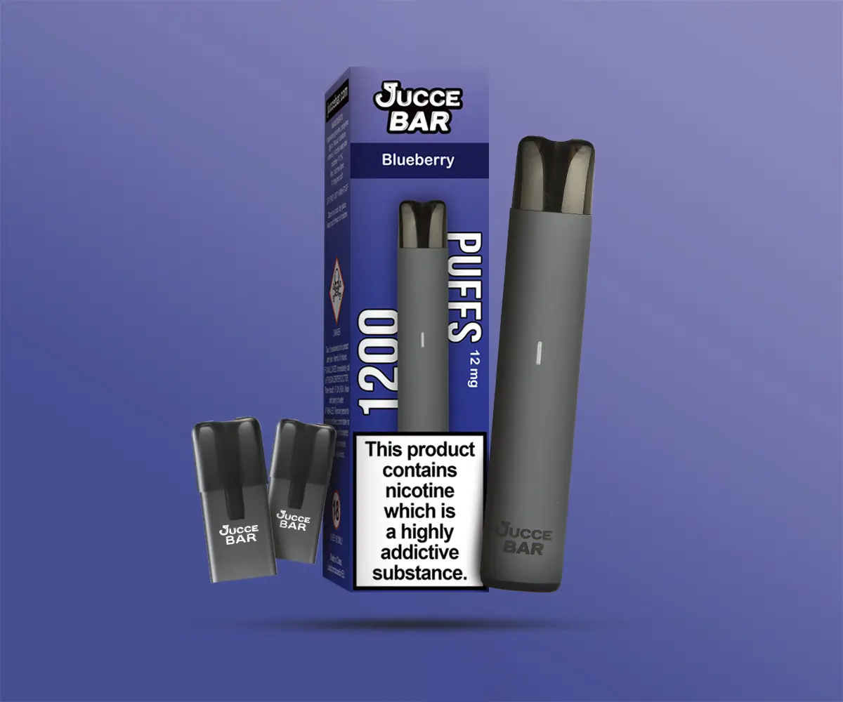 Blueberry 1200 Puff Kit
