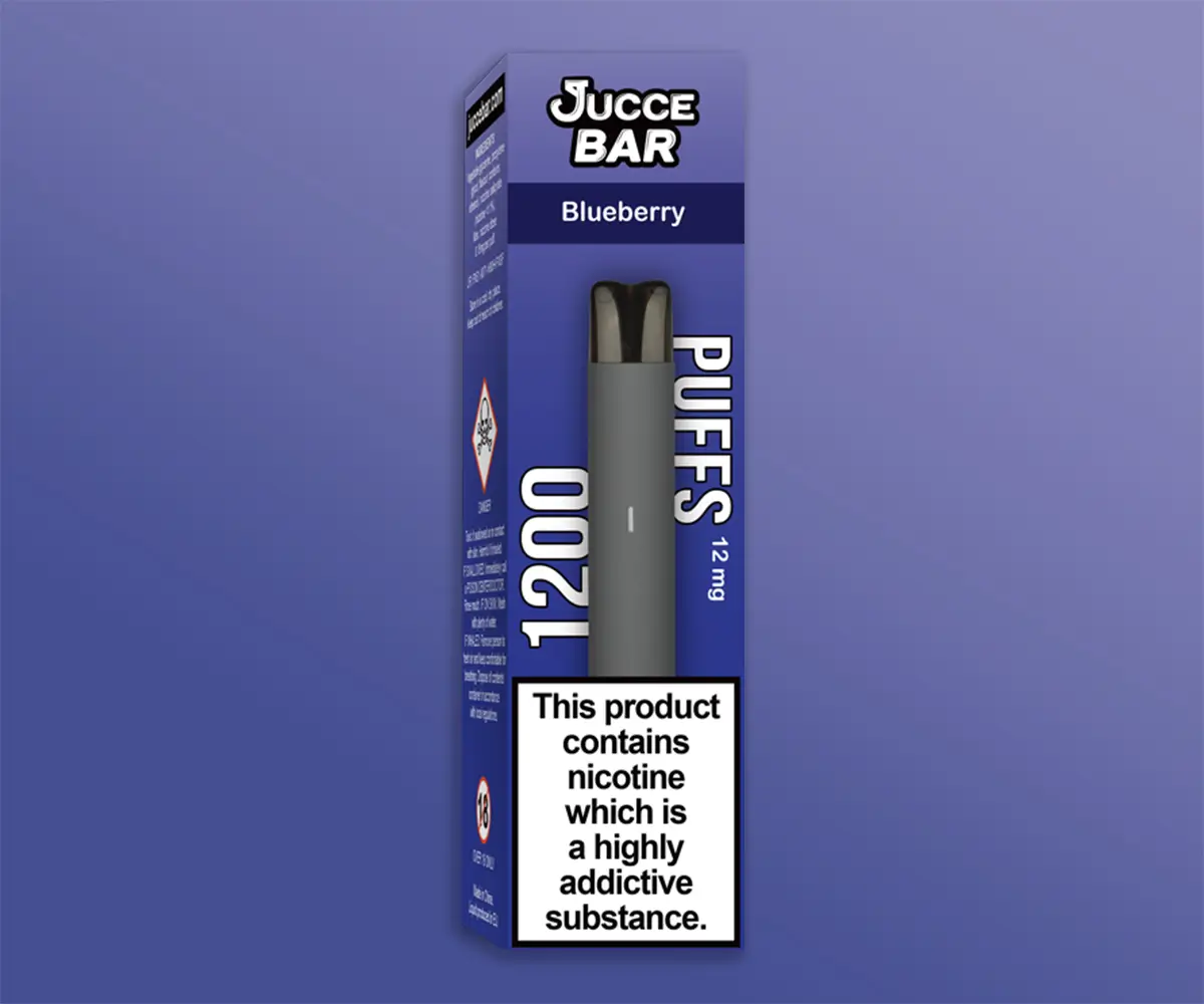 Blueberry 1200 Puff Kit