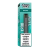 Menthol 1200 Puff Kit
