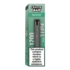 Spearmint Ice 1200 Puff Kit